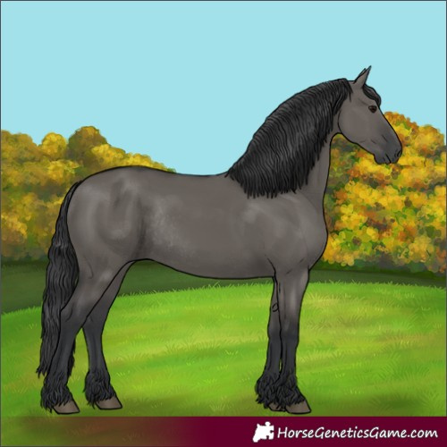 Horse Color:Grullo Rabicano 