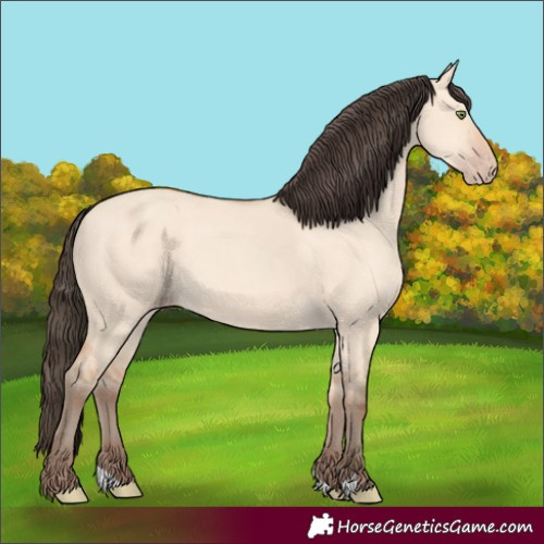 Horse Color:Amber Champagne Dun 