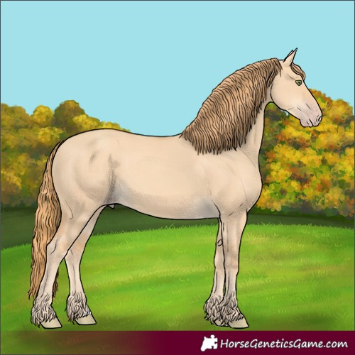 Horse Color:Gold Champagne Dun 