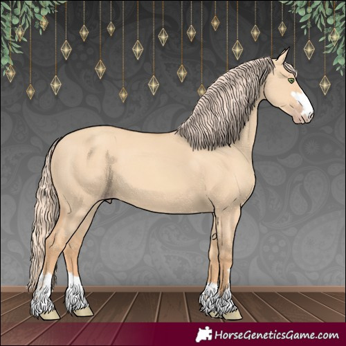 Horse Color:Gold Champagne Dun