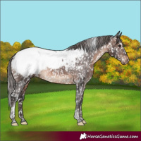 Horse Color:Brown Tobiano Near Fewspot Rabicano 