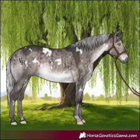 Horse Color:Platinum White Spotted Silver Brown Dun Rabicano Brindle 