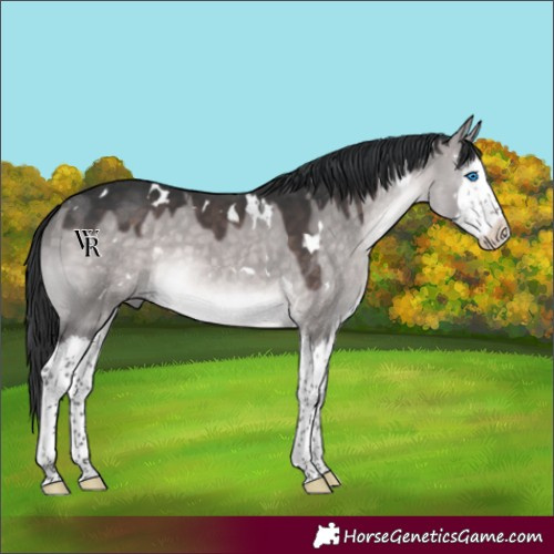 Horse Color:Platinum White Spotted Brown Dun Splash 