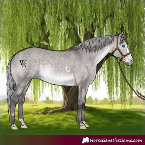 Horse Color:Platinum White Spotted Silver Brown Dun Splash 
