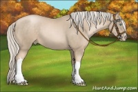 Horse Color:Chocolate Palomino Pearl 