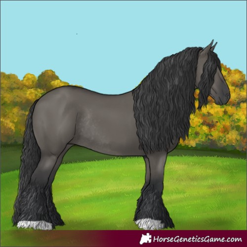 Horse Color:Grullo Rabicano 
