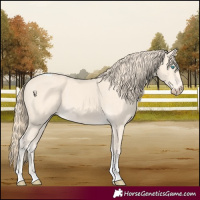 Horse Color:Perlino Tobiano 