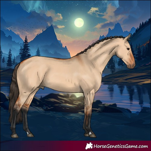 Horse Color:Bay Dun 