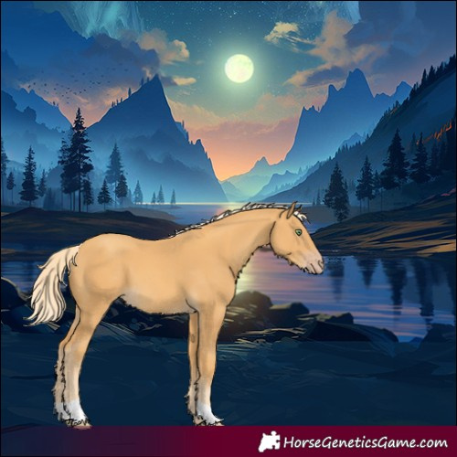 Horse Color:Gold Cream Champagne 