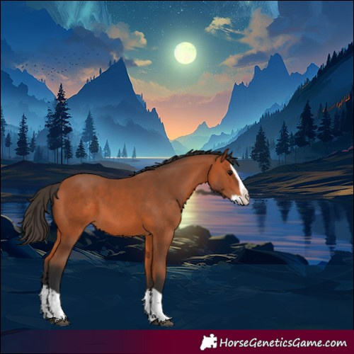 Horse Color:Bay Splash 