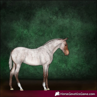 Horse Color:Silver Brown Roan 