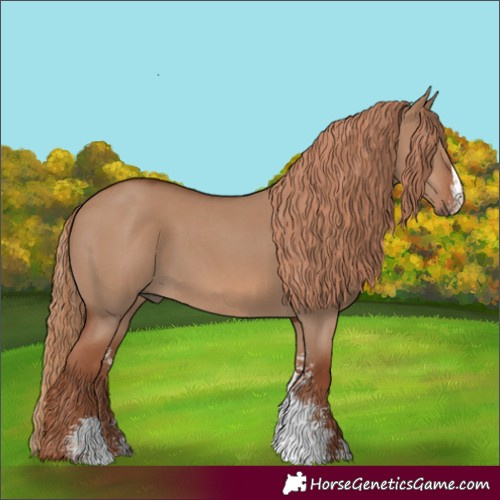 Horse Color:Red Dun Sabino