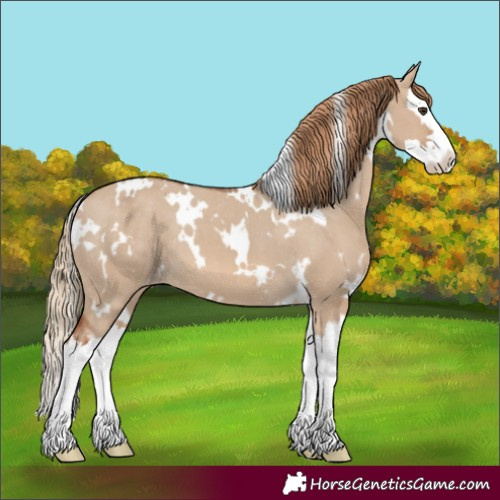 Horse Color:White Spotted Red Dun Splash Varnish 