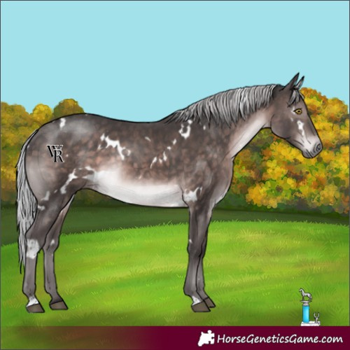 Horse Color:Platinum White Spotted Silver Brown Rabicano 