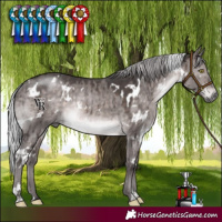Horse Color:Platinum White Spotted Silver Brown Dun Rabicano Brindle 