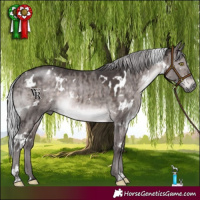 Horse Color:Platinum White Spotted Silver Brown Dun Rabicano Brindle 