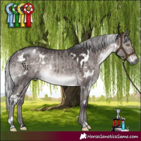 Horse Color:Platinum White Spotted Silver Brown Dun Rabicano Brindle 