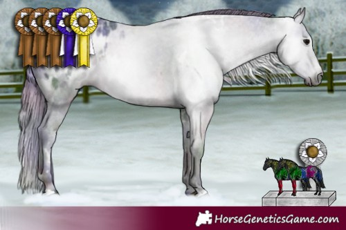 Horse Color:Gray Nacre White Spotted Black Blanket 