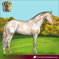 Horse Color:White Spotted Gold Champagne Dun Rabicano 