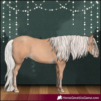 Horse Color:Silver Classic Champagne 