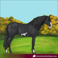 Horse Color:Black  and Black Frame 