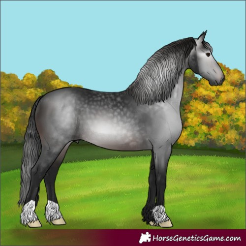 Horse Color:Gray Brown 