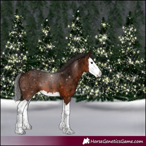 Horse Color:Bay Ice Splash
