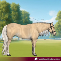 Horse Color:Palomino