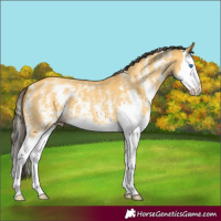 Horse Color:Buckskin Dun Sabino Splash