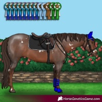 Horse Color:White Spotted Liver Chestnut Sabino
