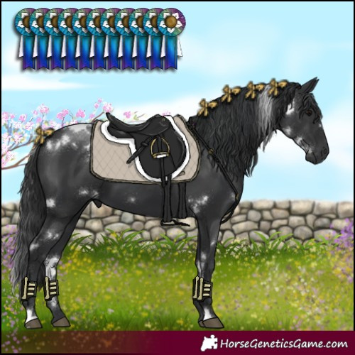 Horse Color:White Spotted Black 