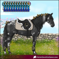 Horse Color:White Spotted Black