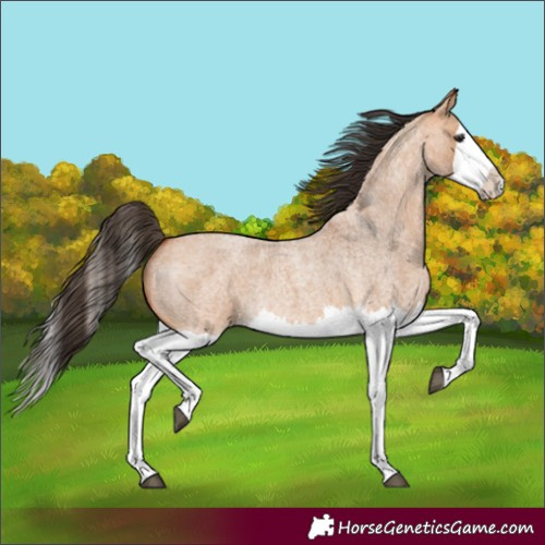 Horse Color:Bay Roan Dun Splash 