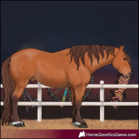 Horse Color:Chocolate Bay