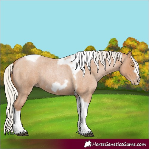 Horse Color:Silver Blue Roan Pearl Tobiano Frame 