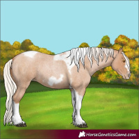 Horse Color:Silver Blue Roan Pearl Tobiano Frame