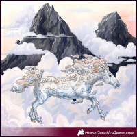 Horse Color:Chestnut Sabino Splash 