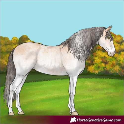 Horse Color:White Spotted Amber Champagne 