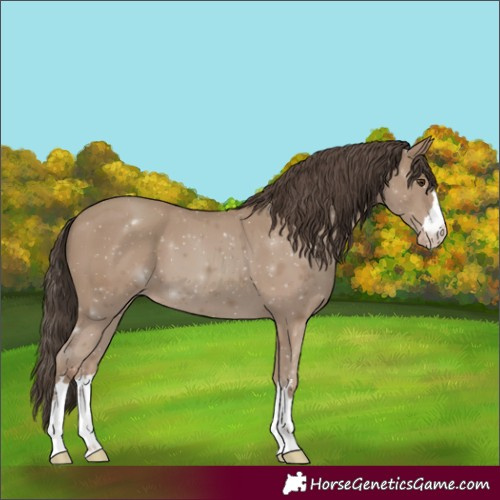 Horse Color:Classic Champagne 