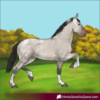 Horse Color:Brown Ice Roan Dun Tobiano 