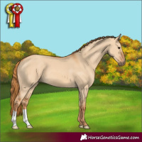 Horse Color:Red Dun 