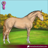 Horse Color:Red Dun 