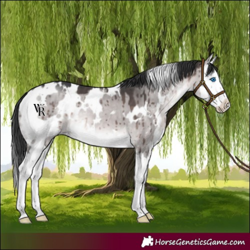 Horse Color:Platinum White Spotted Brown Dun Splash Brindle 
