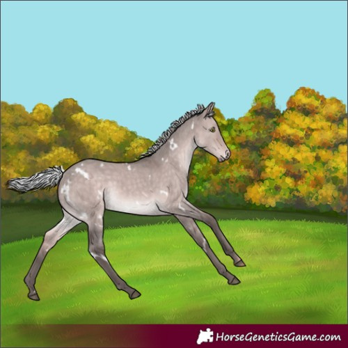 Horse Color:Platinum White Spotted Silver Brown Dun Rabicano 