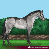 Horse Color:Platinum White Spotted Brown Dun 
