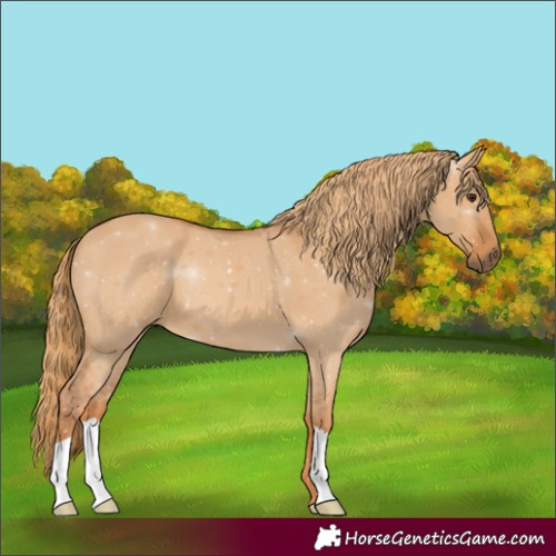 Horse Color:Red Dun 