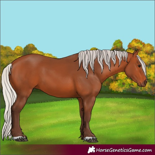Horse Color:Silver Bay