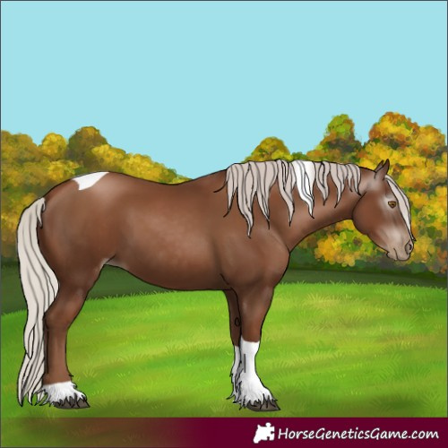 Horse Color:Gray Silver Black Pearl Tobiano
