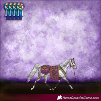 Horse Color:Gray White Spotted Silver Bay Appaloosa Rabicano 