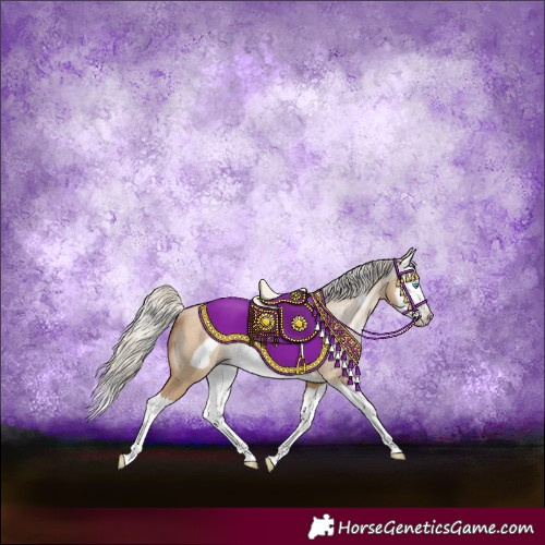 Horse Color:Gray Silver Amber Champagne Dun Splash Frame Rabicano 